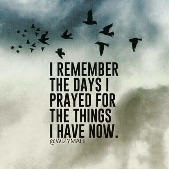 Meet your Posher, Violet - Picture 4 of 8